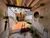 Sobrado, 2 quartos, 102 m² - Foto 2