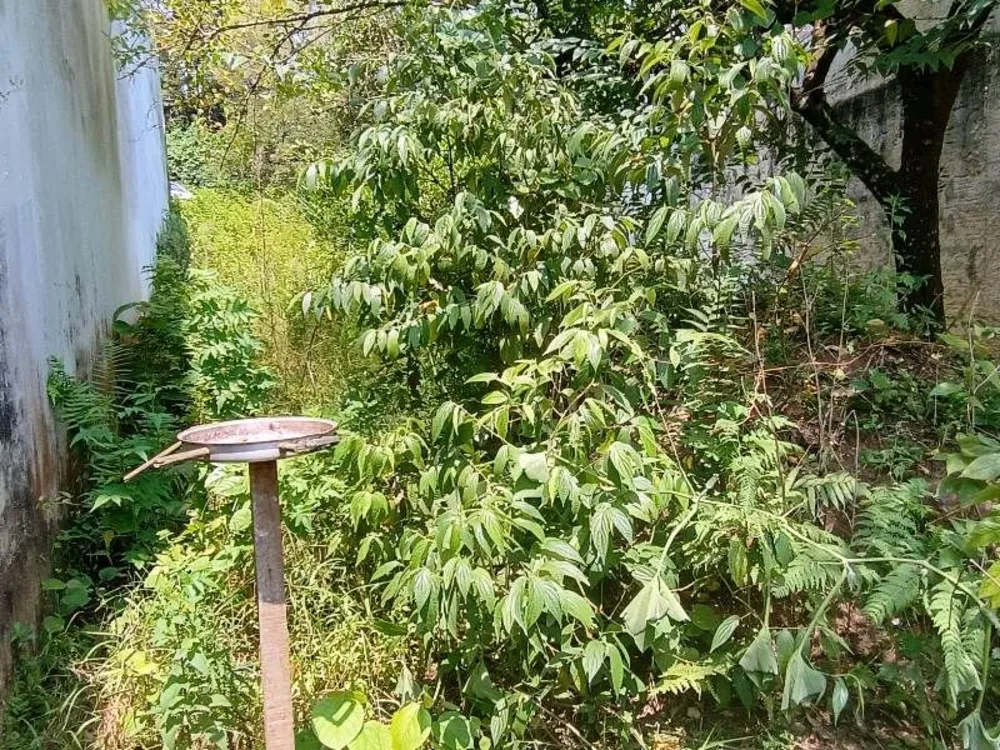 Terreno, 204 m² - Foto 9