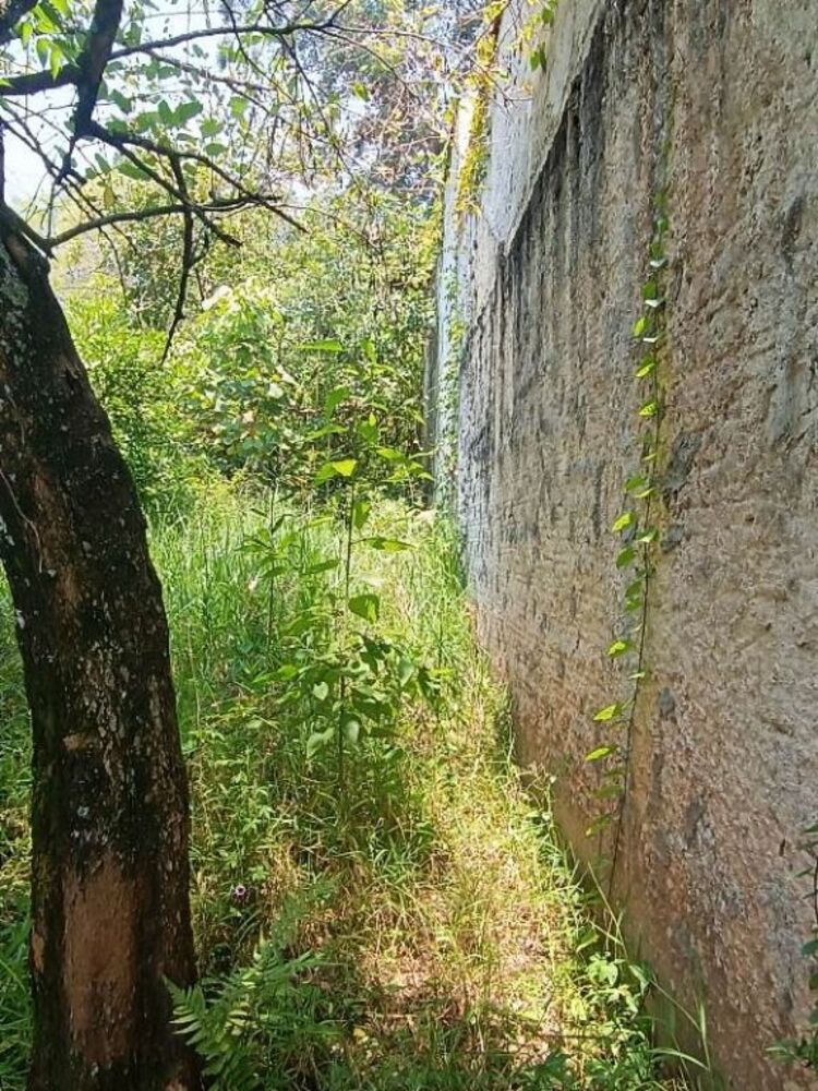 Terreno, 204 m² - Foto 5