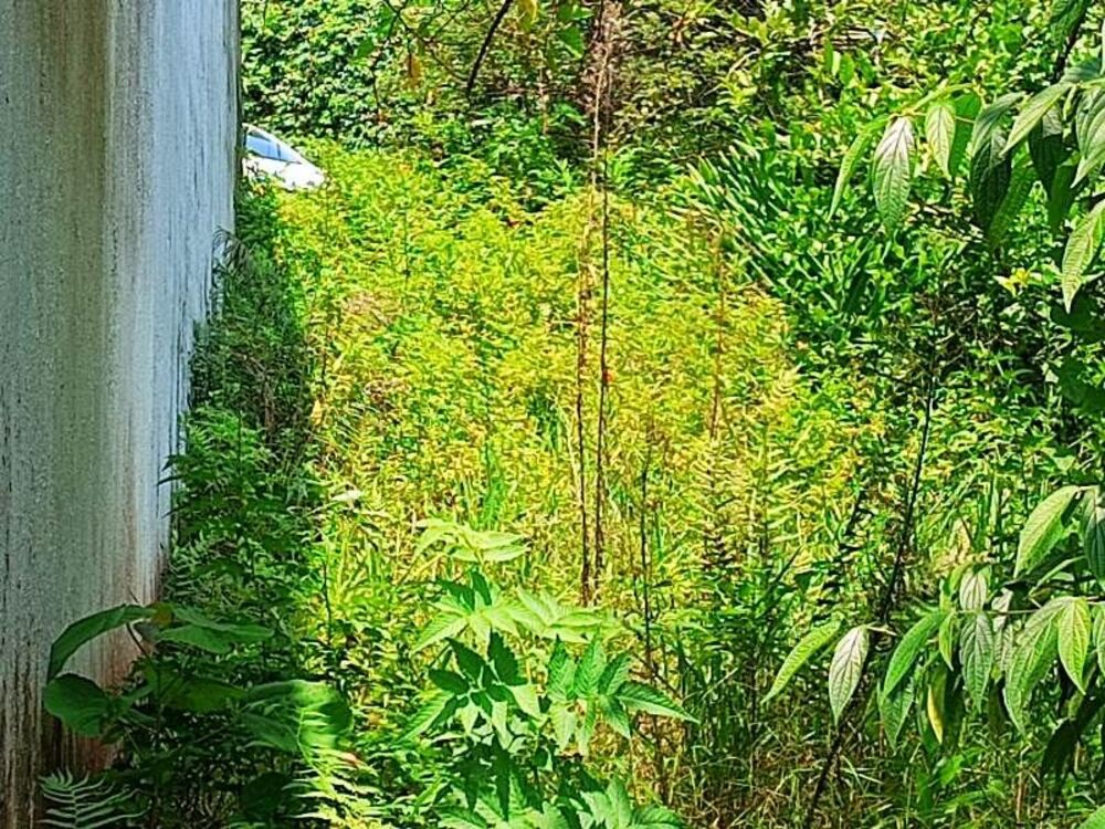 Terreno, 204 m² - Foto 1
