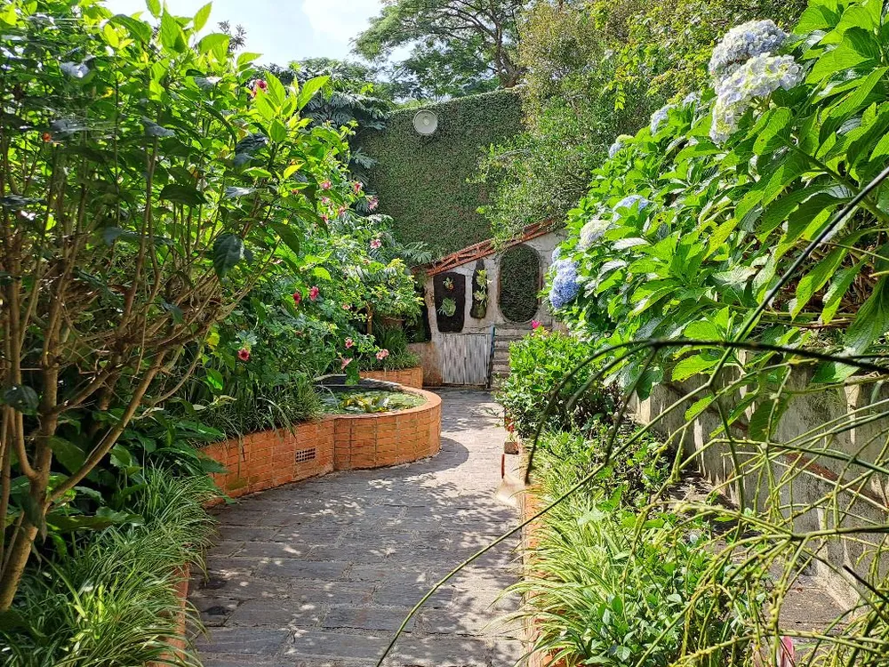 Casa, 3 quartos, 677 m² - Foto 13