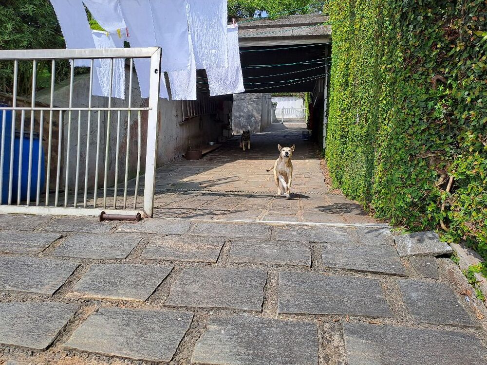 Casa, 3 quartos, 677 m² - Foto 3