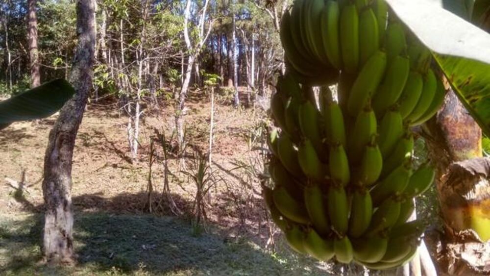 Sítio, 2 quartos, 9 m² - Foto 5