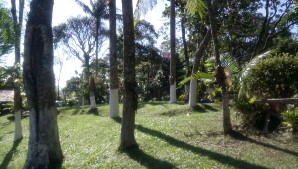 Sítio, 2 quartos, 9 m² - Foto 3