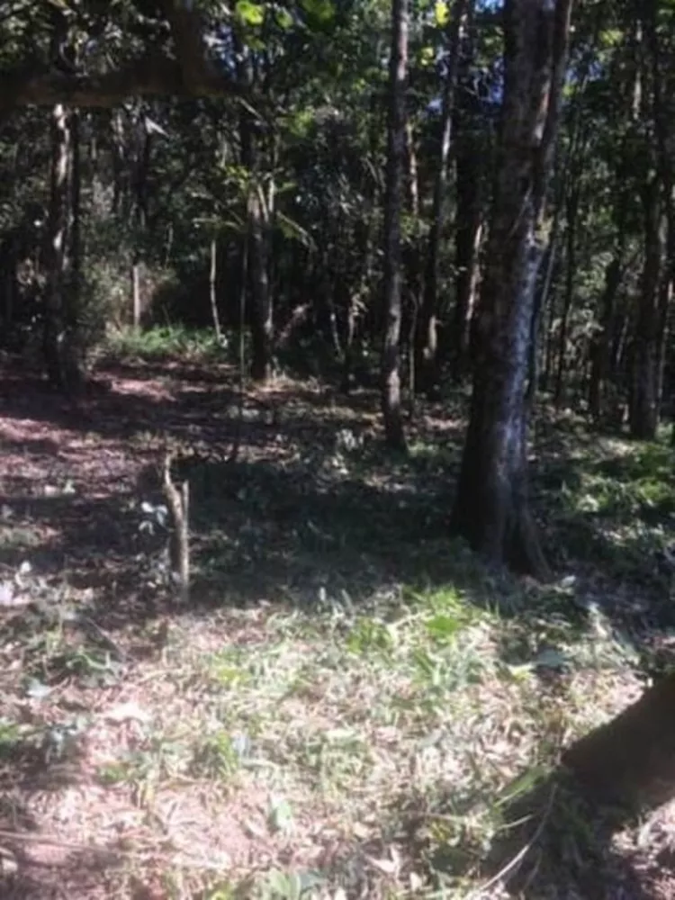 Terreno, 500 m² - Foto 1