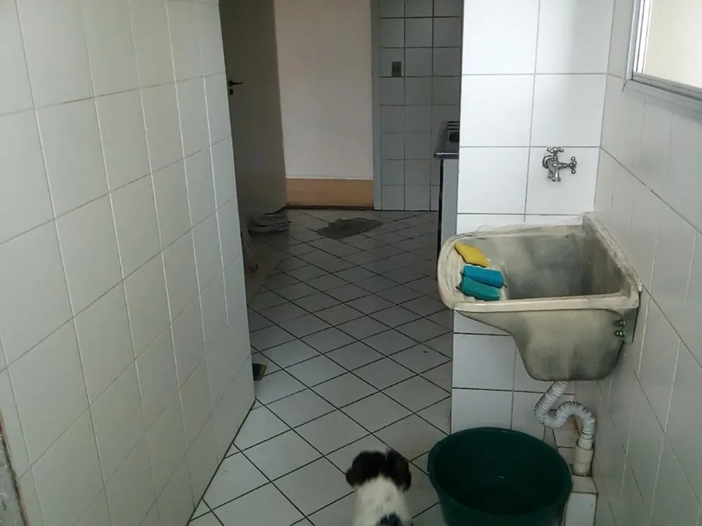 Apartamento, 3 quartos, 68 m² - Foto 4