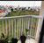 Apartamento, 2 quartos, 62 m² - Foto 2