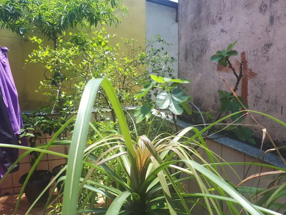 Sobrado, 3 quartos, 155 m² - Foto 14