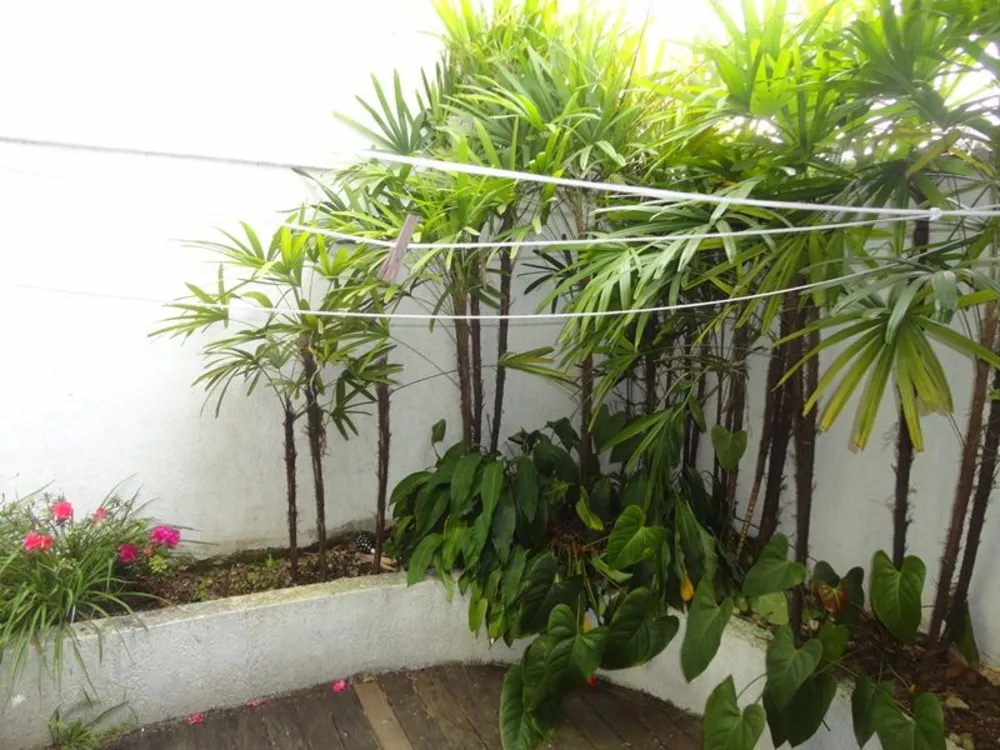 Sobrado, 3 quartos, 160 m² - Foto 11