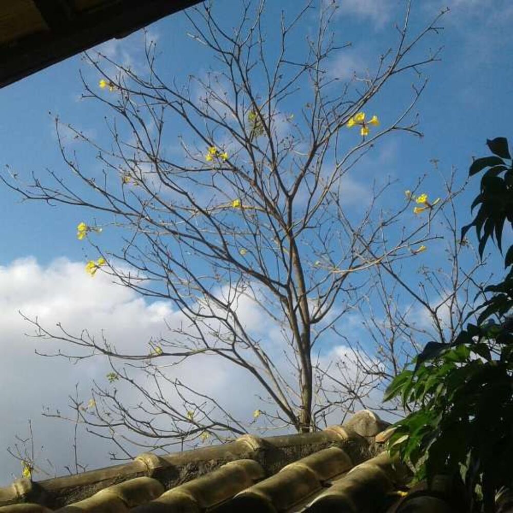 Pousada-Chalé, 8 quartos, 650 m² - Foto 10