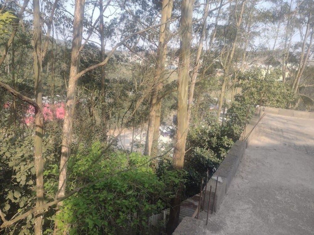 Terreno, 310 m² - Foto 4