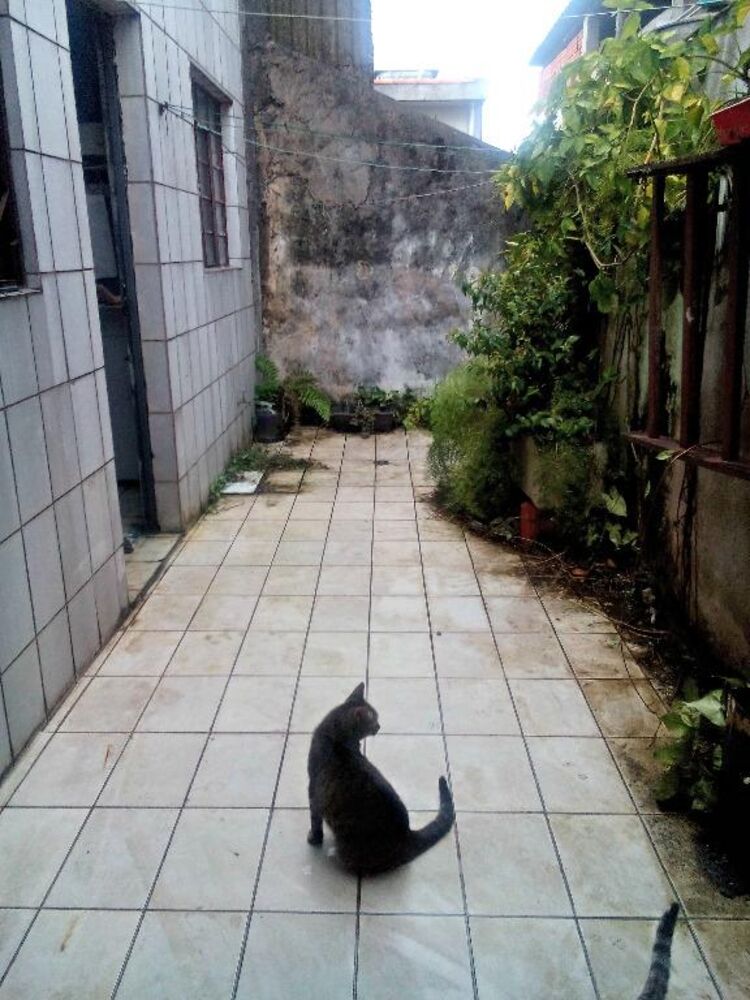 Sobrado, 4 quartos, 206 m² - Foto 11