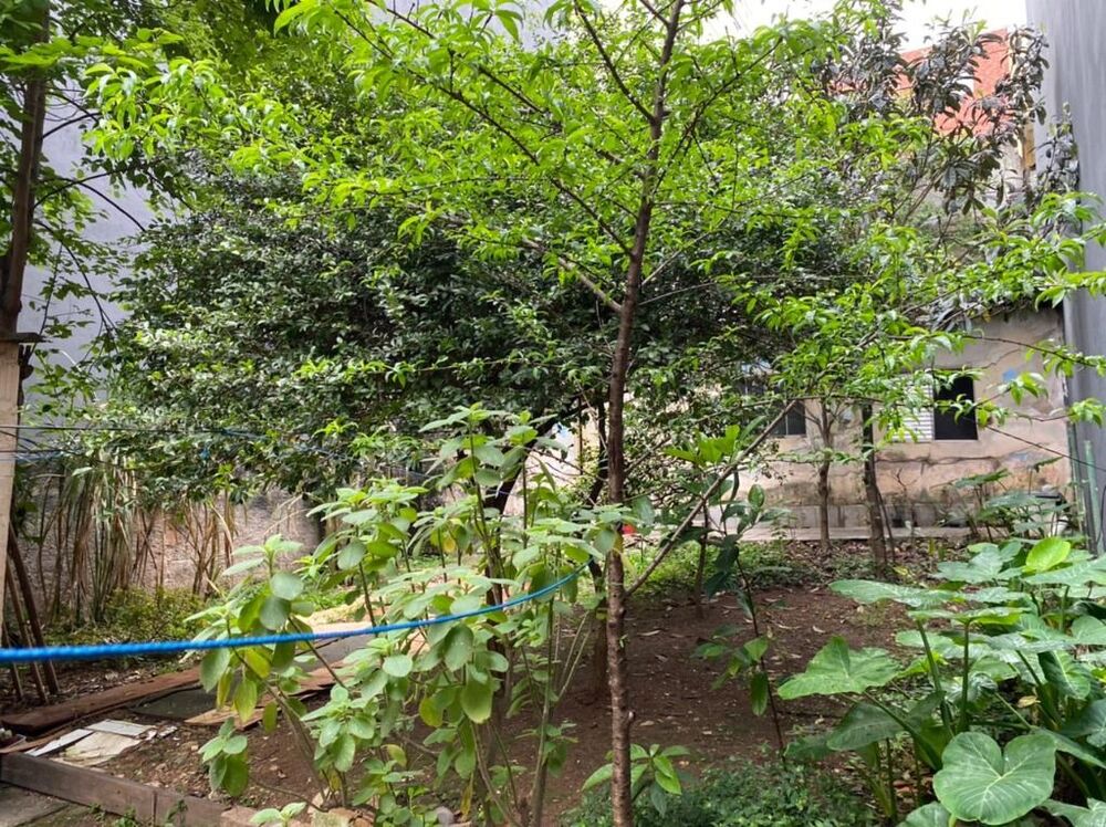 Terreno, 400 m² - Foto 3