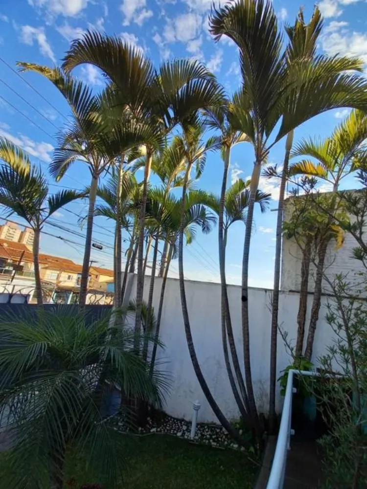 Casa, 4 quartos, 200 m² - Foto 4