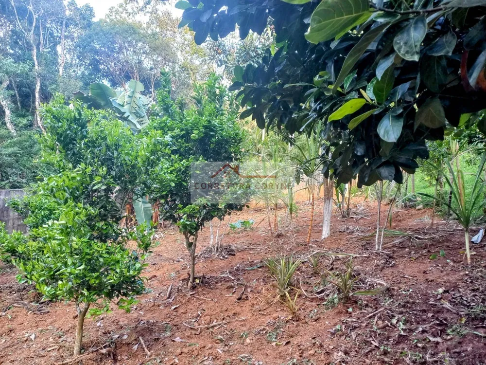 Chácara, 3 quartos, 1000 m² - Foto 16