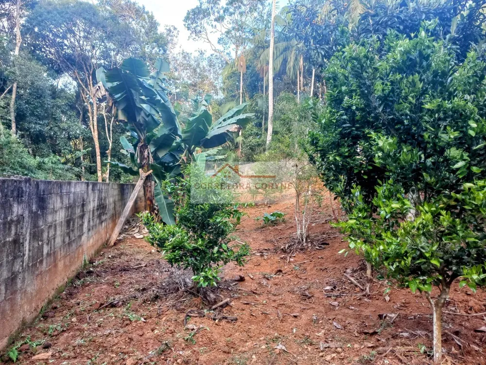 Chácara, 3 quartos, 1000 m² - Foto 15