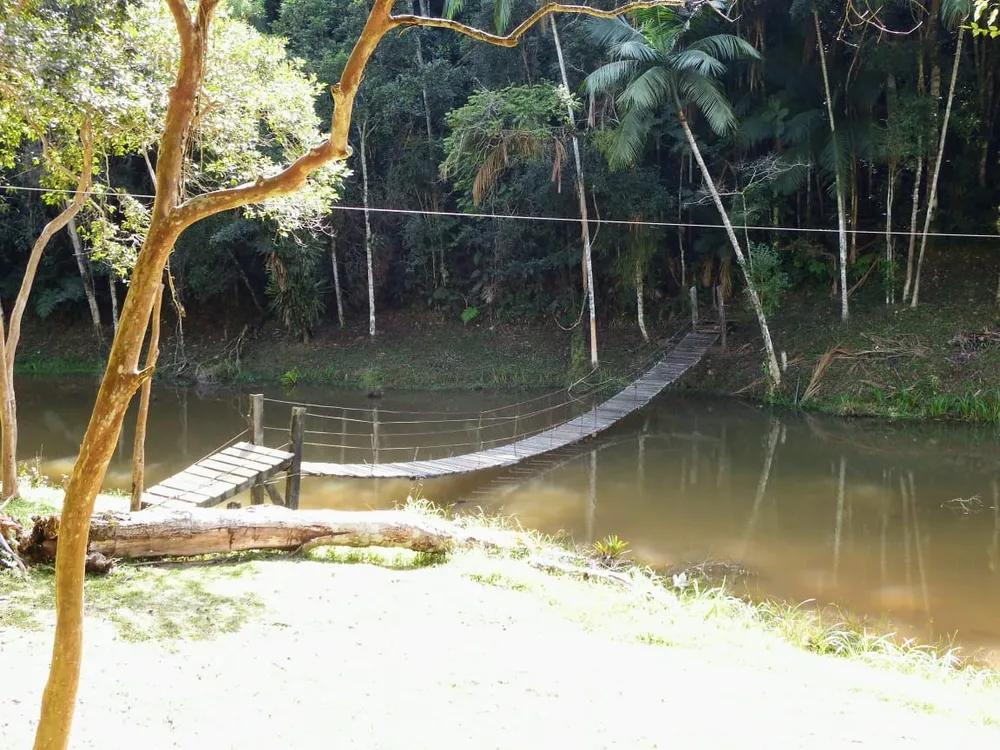 Sítio, 8 quartos, 4 hectares - Foto 3