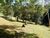 Sítio, 8 quartos, 4 hectares - Foto 3