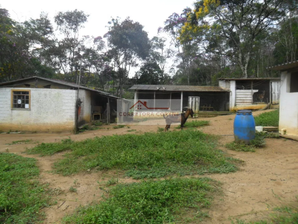 Chácara, 2 quartos, 7000 m² - Foto 23