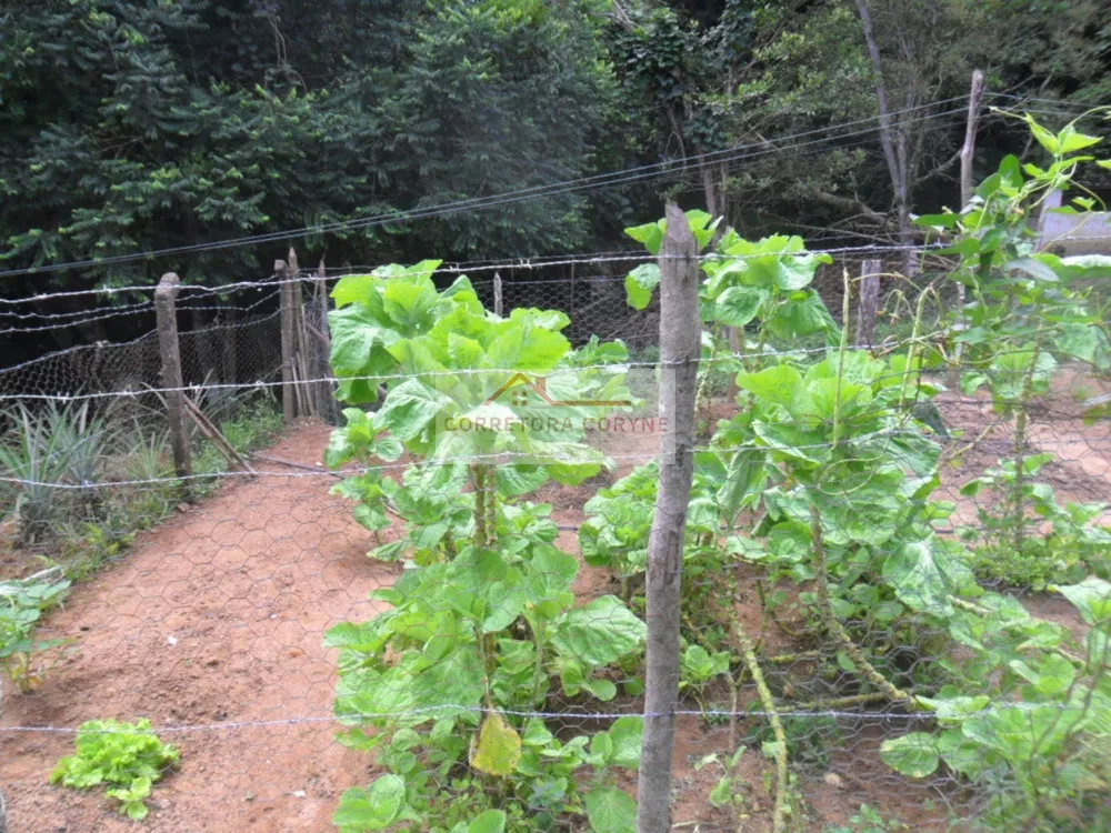 Chácara, 2 quartos, 7000 m² - Foto 20