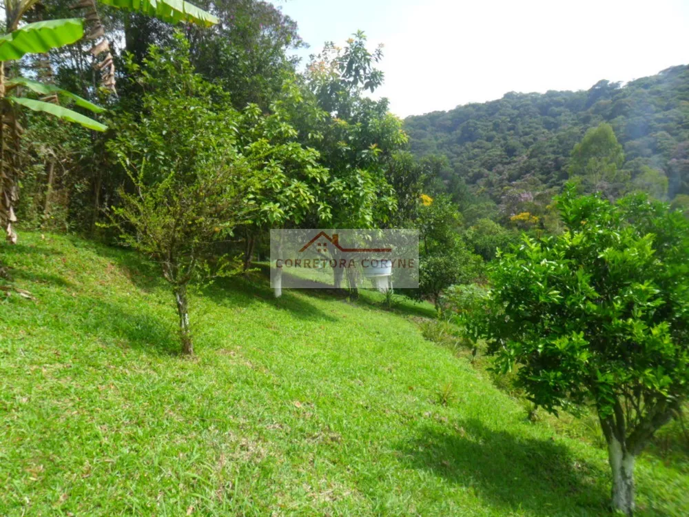 Chácara, 2 quartos, 7000 m² - Foto 8