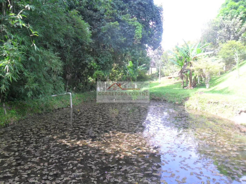 Chácara, 2 quartos, 7000 m² - Foto 19