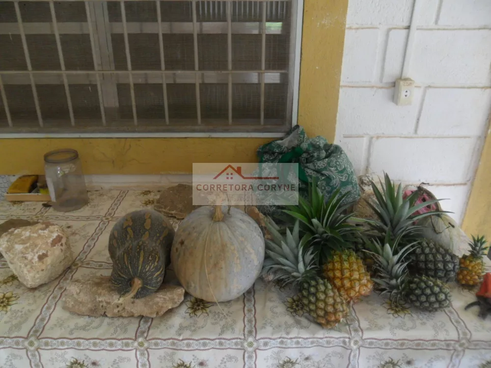 Chácara, 2 quartos, 7000 m² - Foto 6