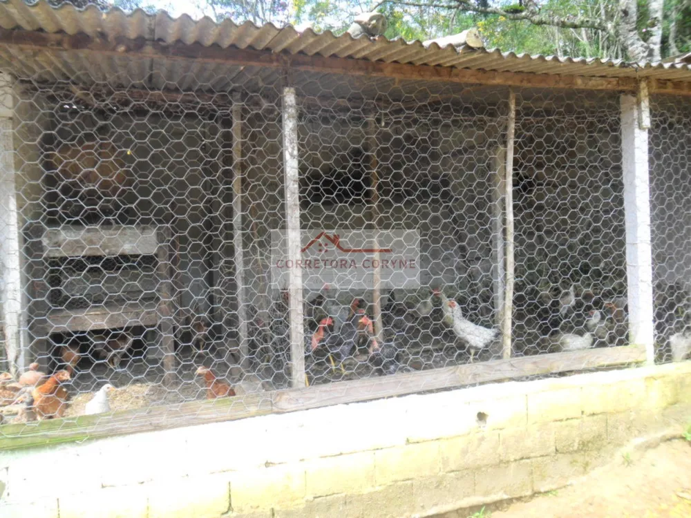 Chácara, 2 quartos, 7000 m² - Foto 24