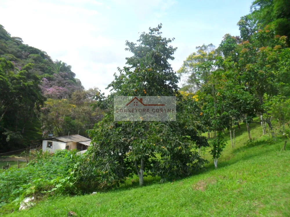 Chácara, 2 quartos, 7000 m² - Foto 17