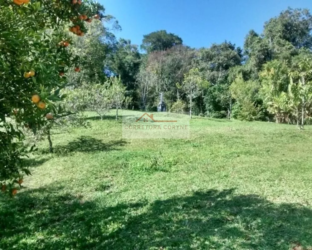 Chácara, 2 quartos, 3130 m² - Foto 8