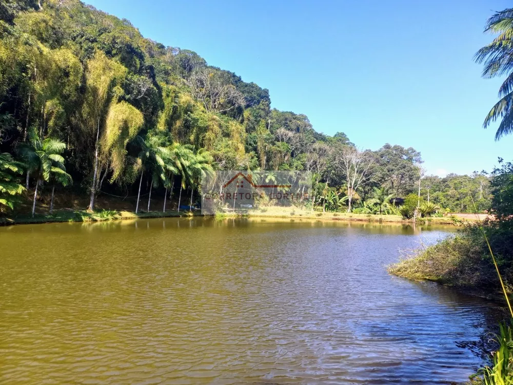 Chácara, 5 quartos, 4200 m² - Foto 29