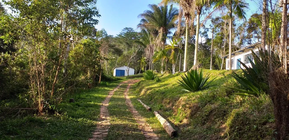 Sítio, 24 hectares - Foto 12