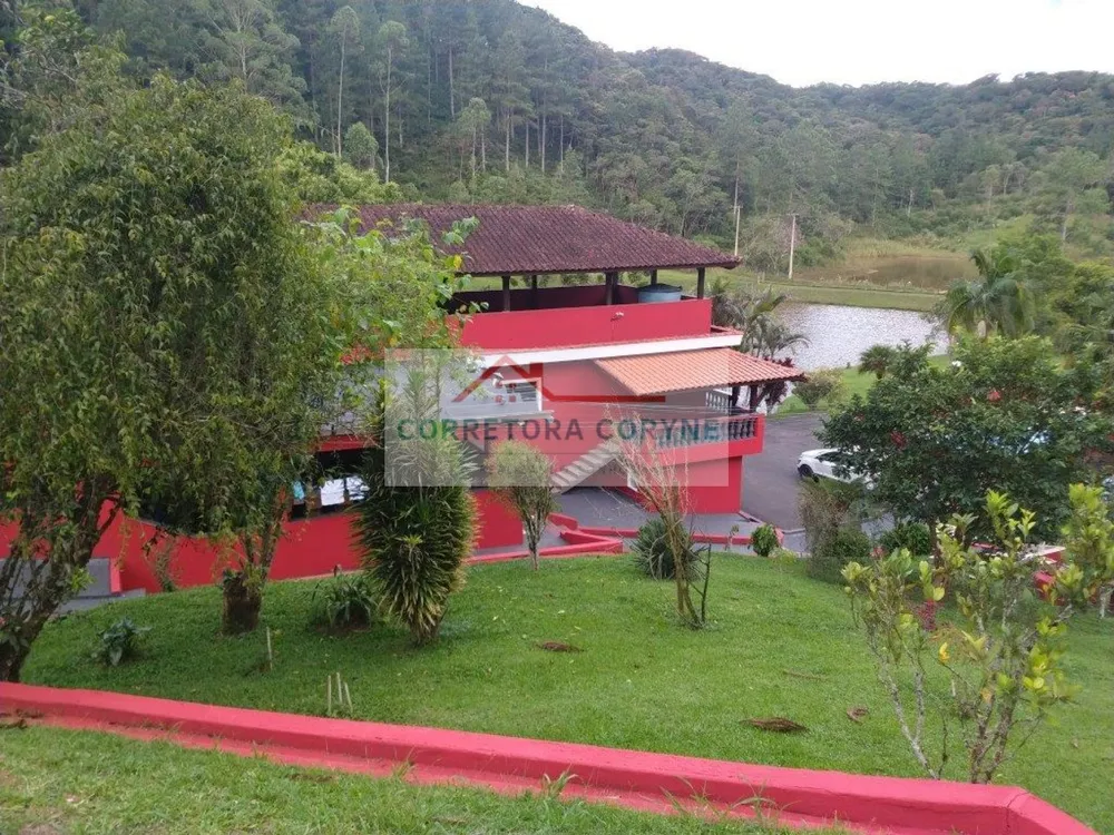 Sítio, 4 hectares - Foto 10