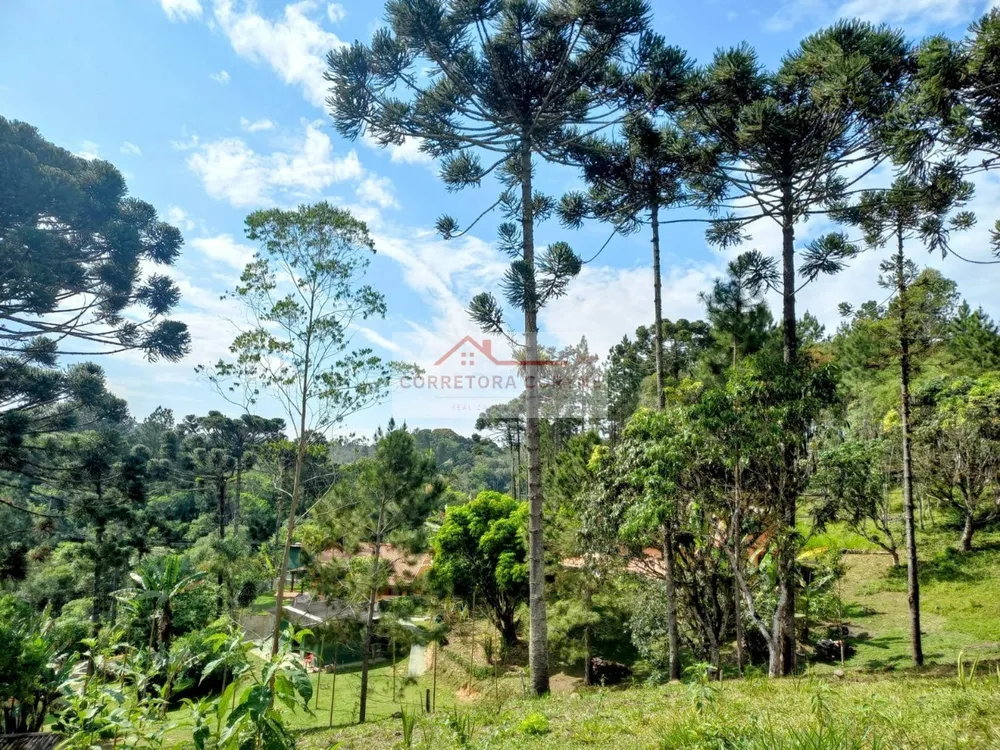 Chácara, 3 quartos, 2 hectares - Foto 18