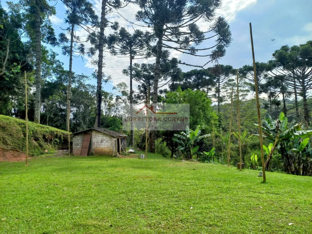 Chácara, 3 quartos, 2 hectares - Foto 16