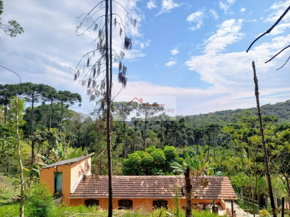 Chácara, 3 quartos, 2 hectares - Foto 12