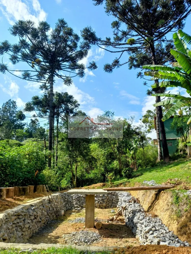 Chácara, 3 quartos, 2 hectares - Foto 17