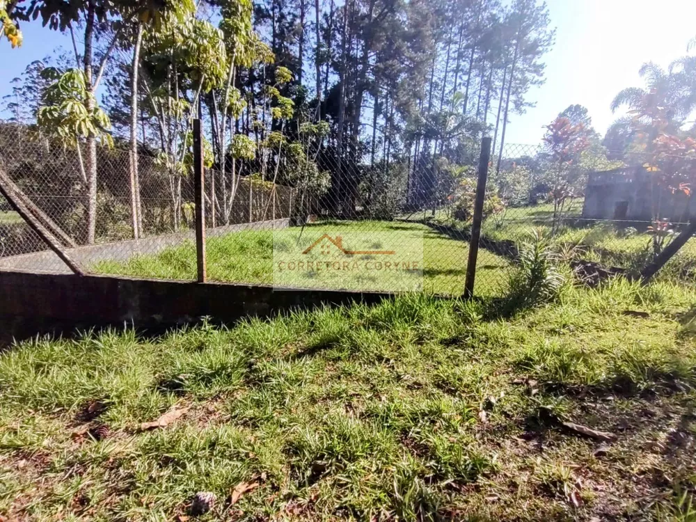 Chácara, 5 quartos, 5875 m² - Foto 4