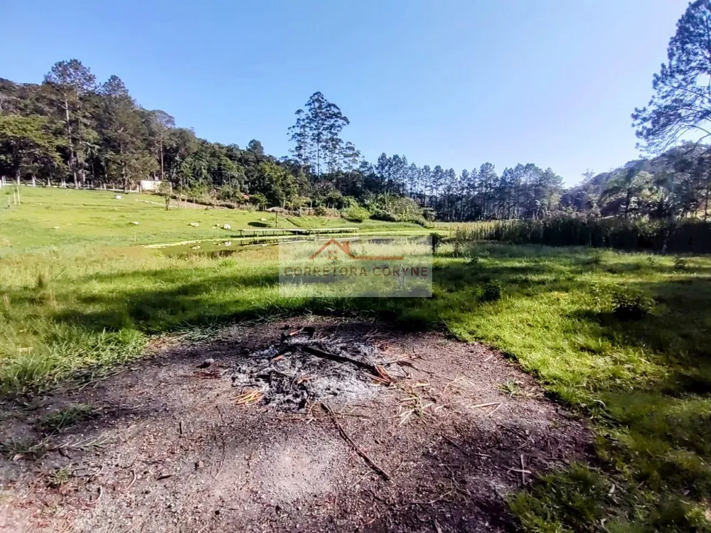 Chácara, 5 quartos, 5875 m² - Foto 21