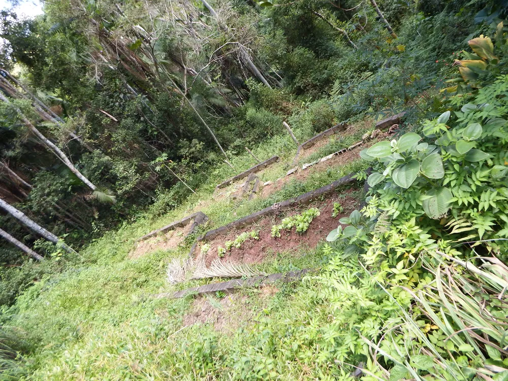 Sítio, 4 quartos, 4 hectares - Foto 15
