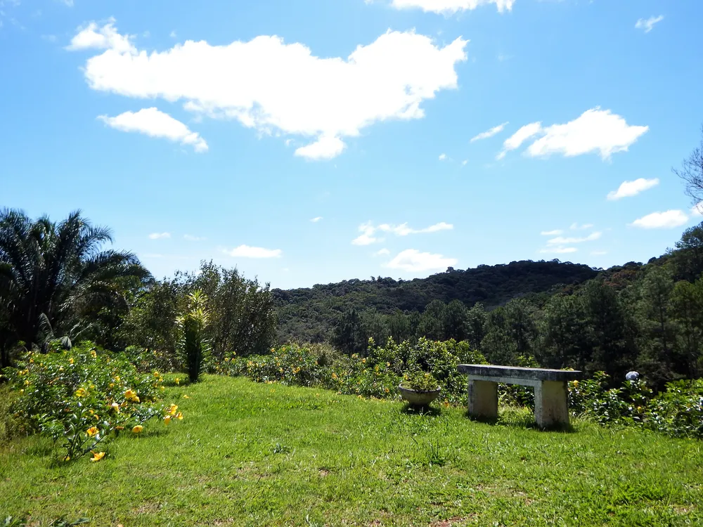 Sítio, 4 quartos, 4 hectares - Foto 11