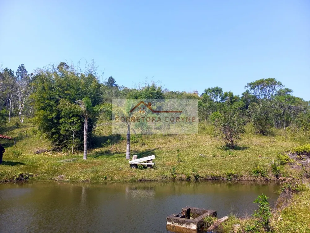 Terreno, 2 hectares - Foto 16