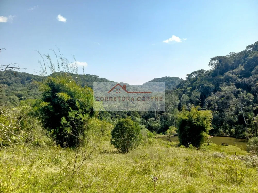 Terreno, 2 hectares - Foto 3