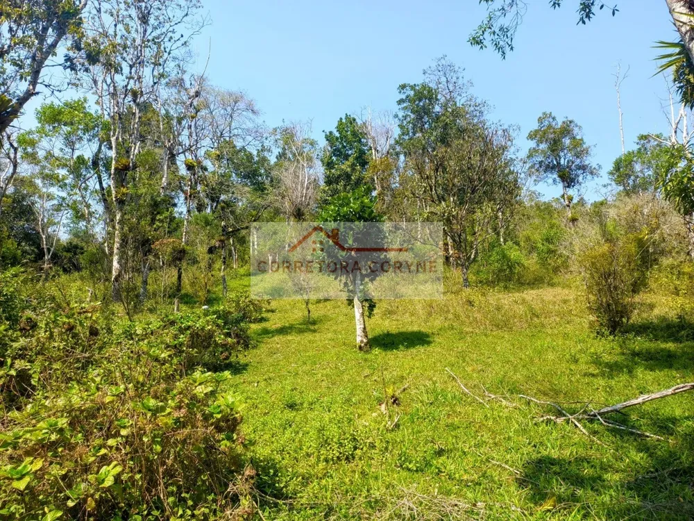Terreno, 2 hectares - Foto 10