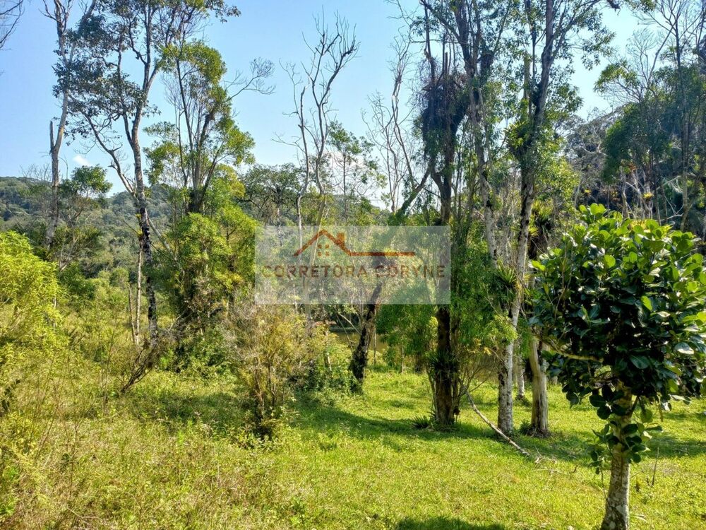 Terreno à venda, 24000m² - Foto 4