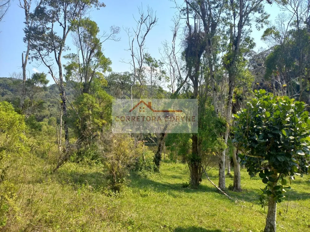 Terreno, 2 hectares - Foto 9