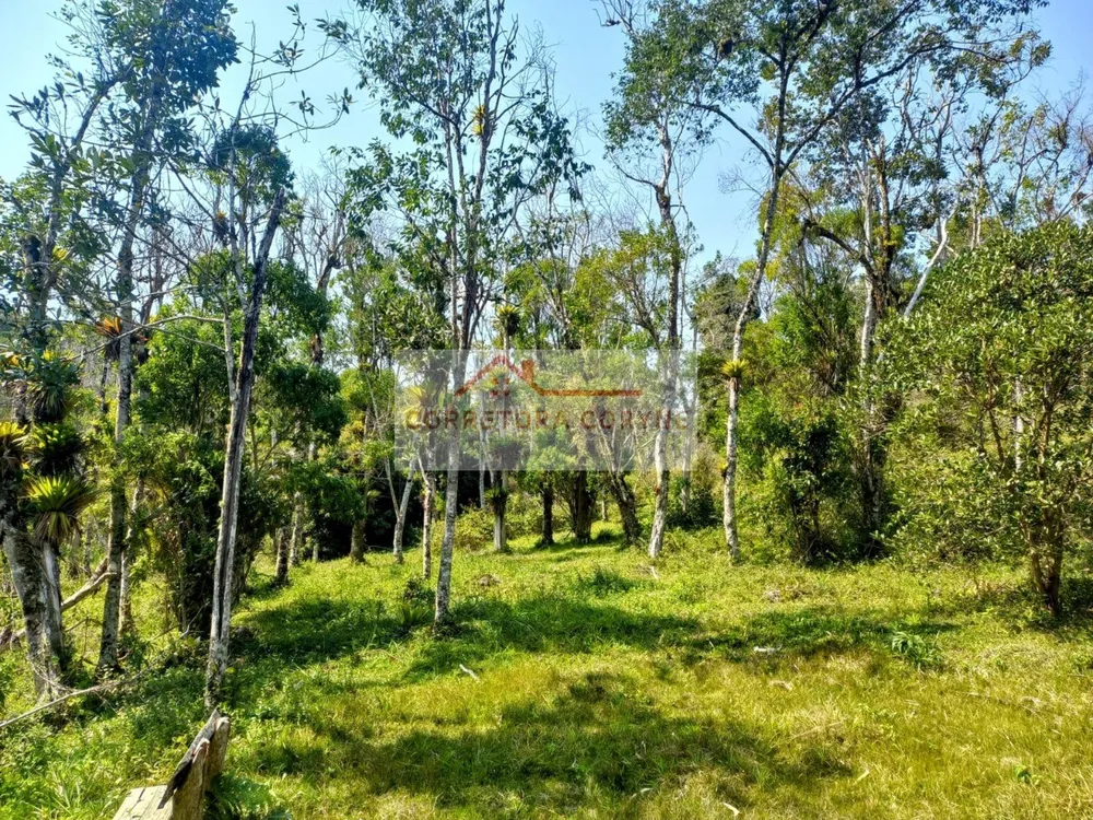 Terreno, 2 hectares - Foto 11