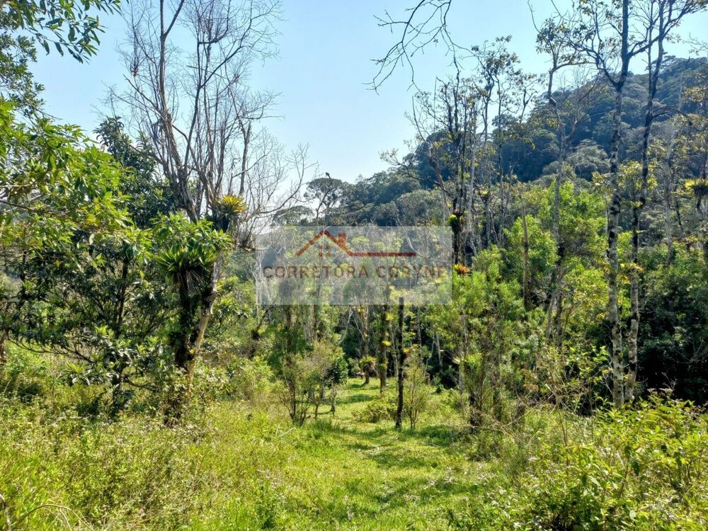 Terreno à venda, 24000m² - Foto 3