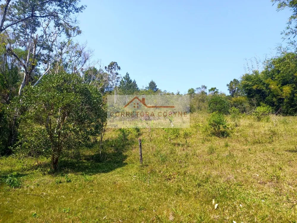 Terreno, 2 hectares - Foto 13