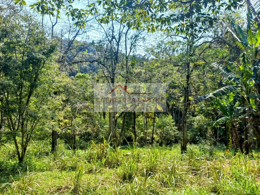 Terreno à venda, 24000m² - Foto 2